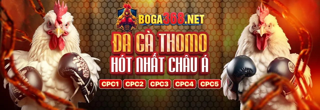 Đấu trường đá gà trực tuyến sôi động tại rongho99 login