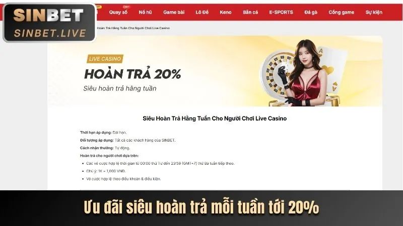 Hình ảnh hỗ trợ và tư vấn cho người chơi